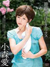 部长的漂亮媳妇