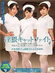 《蜜桃成就熟时》1993
