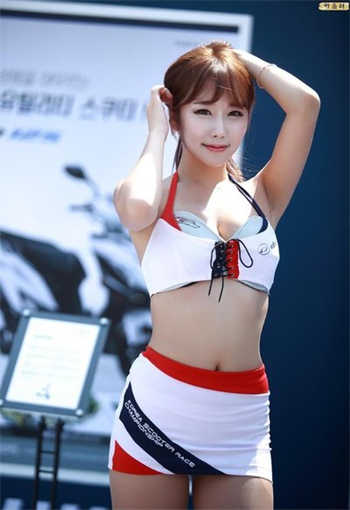 k9lady海豚是什么