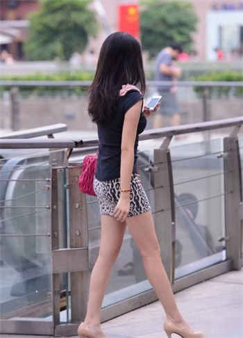 《绝对服从》一枚夹心饼
