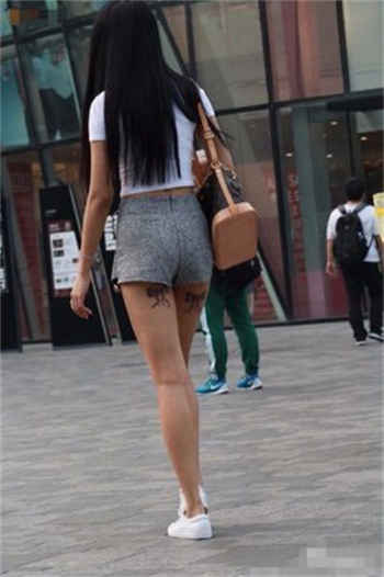 2278atv兔子