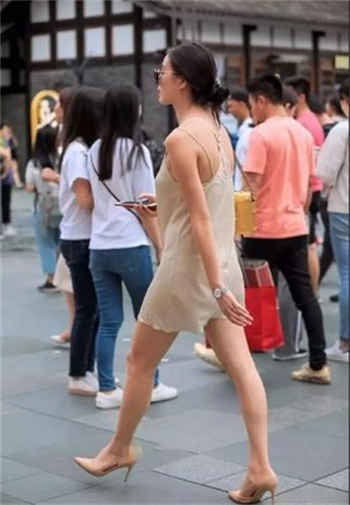 金莲传媒app下载