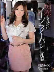 埃及猫动画原版百度云网盘