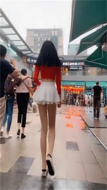 类似see8的软件